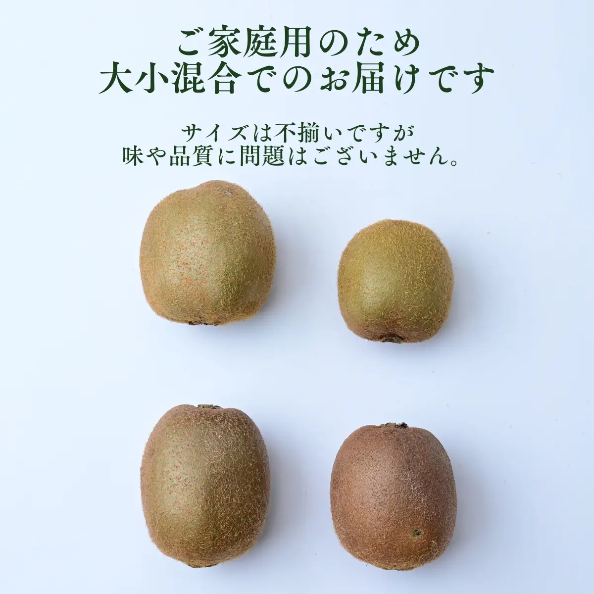 【先行受付】キウイフルーツ 2.5kg 大小混合