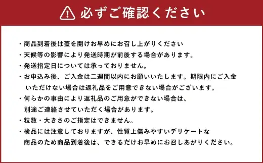ミニトマト 約1kg × 2箱 ミニ トマト とまと プチトマト 野菜 やさい サラダ 国産 福島県産 冷蔵 【 2026年7月上旬から10月下旬発送予定 】