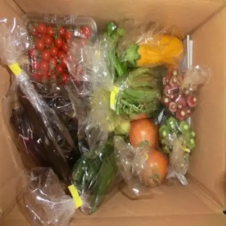 夏野菜セット 8種 Sサイズ 栽培期間中農薬不使用 岩手県 遠野市 遠野もぐもぐカントリー【配送不可地域：離島】【1634883】