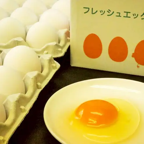 卵吾妻十二ヶ原の卵堀田養鶏場卵【50個】