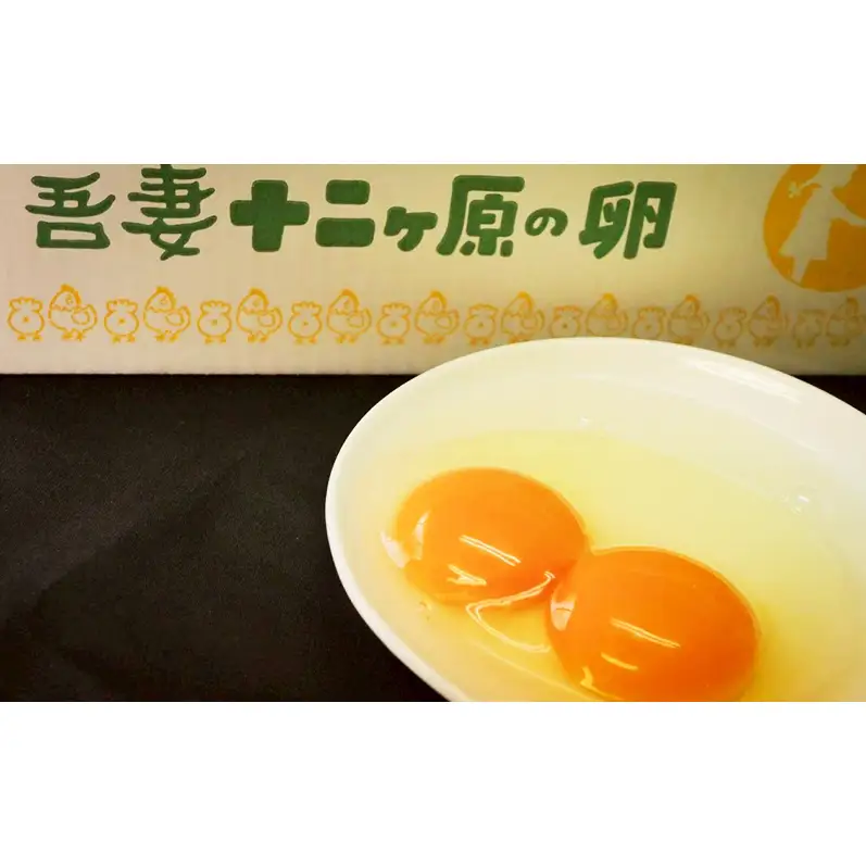 卵吾妻十二ヶ原の卵堀田養鶏場二黄卵卵【20個】