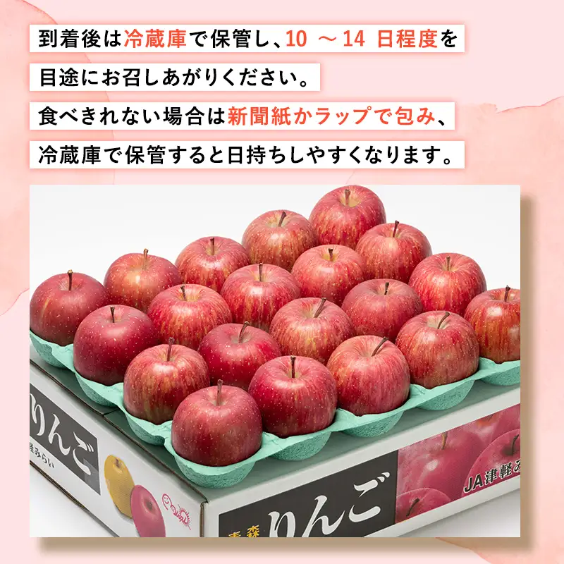 りんご  糖度選別サンふじ 約10kg りんご