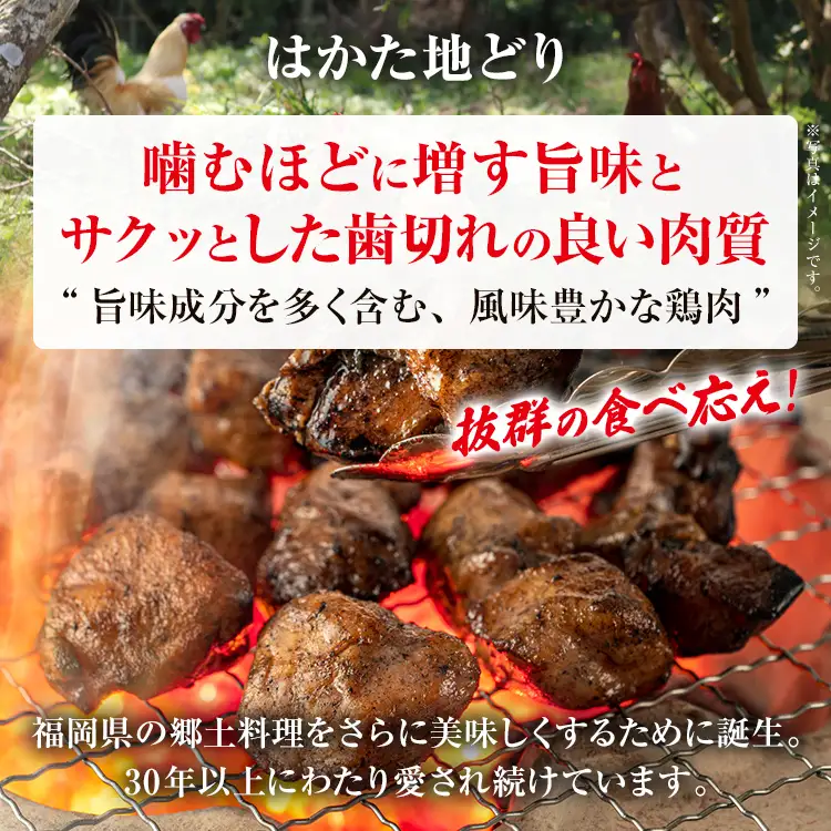 はかた地どり  軟骨入りつくね串 10本 はかた地どり