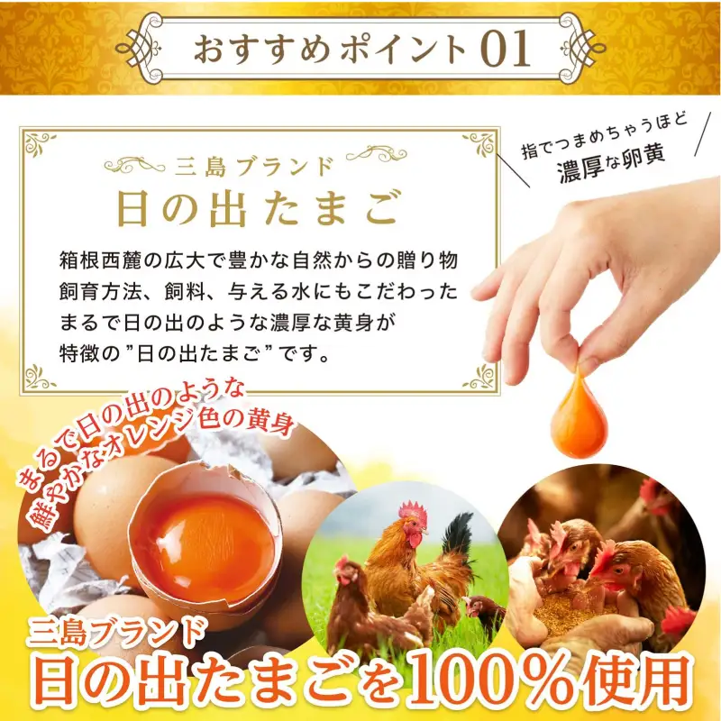 日の出たまごのロールケーキ 1本 TAMAGOYA 村の駅