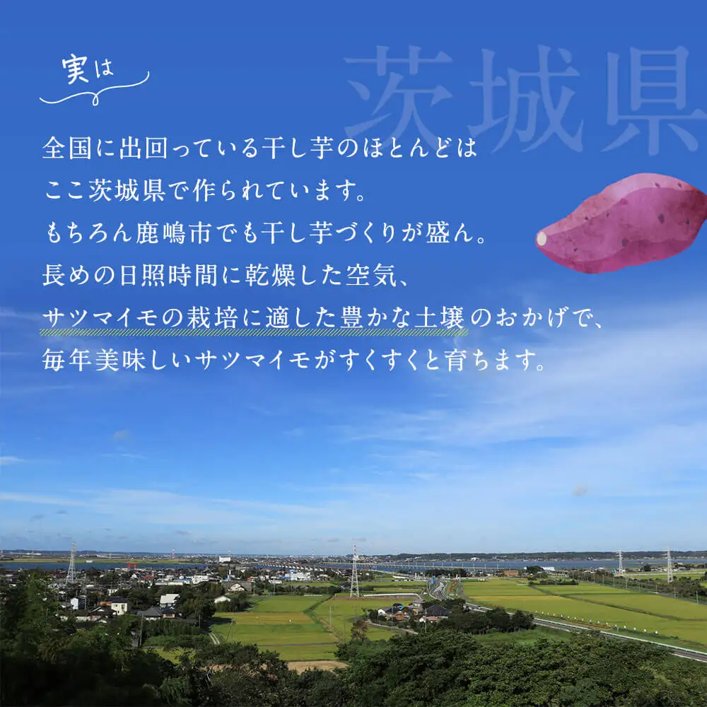 先行予約 干し芋 食べ比べセット 2種6袋セット 計720g 紅はるか シルクスイート