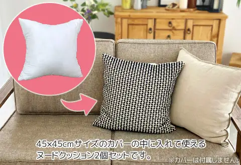 ヌード 中材 背当クッション 帝人 クリスター2個セット_【G0814】
