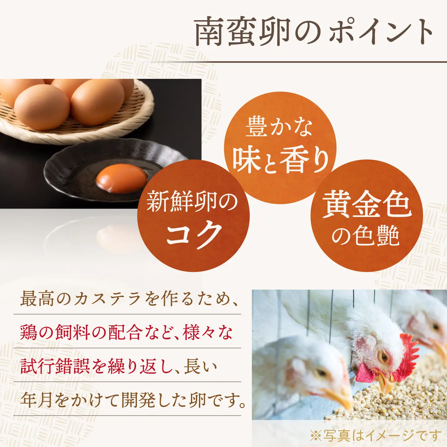 【全12回定期便】【こだわりの逸品】 長崎カステラ ［1号］（1号10切入×1本入）【文明堂総本店】[QAU037]