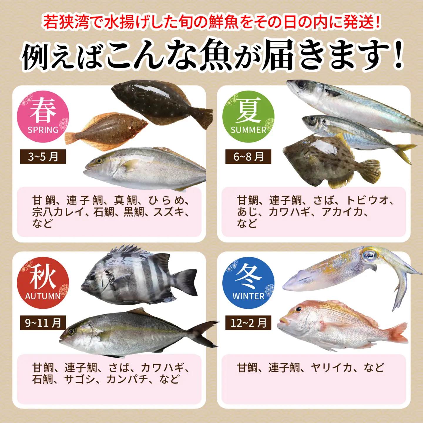 若狭湾鮮魚セット（下処理なし）おまかせ3kg以上（3～6魚種）【1月配送】  