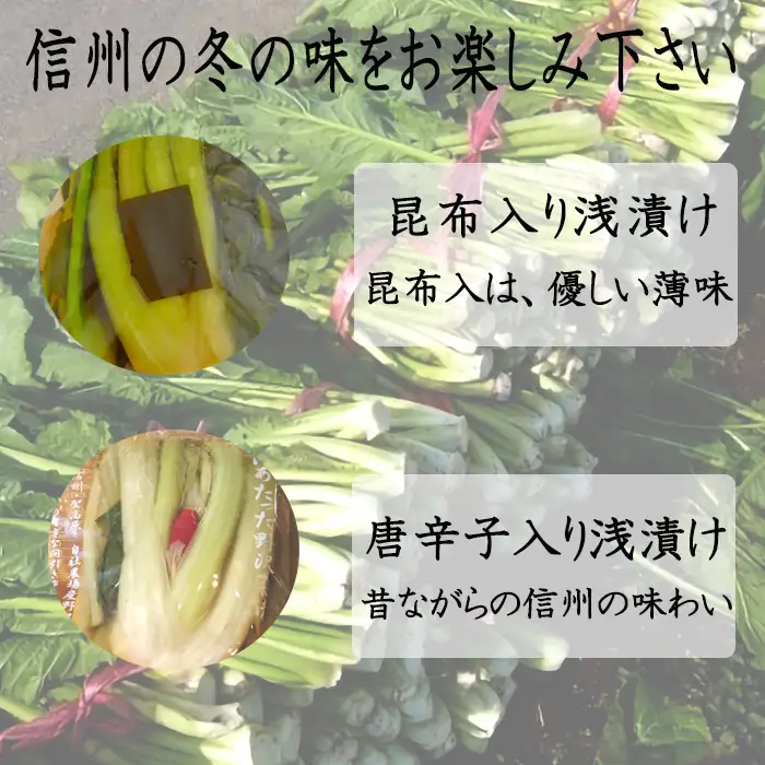 信州麻績村 浅漬け 野沢菜 詰め合わせセット 期間限定