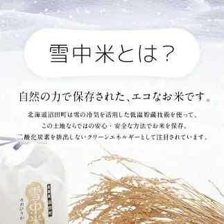 令和8年産 【定期便11ヶ月】 特Aランク米 ゆめぴりか 玄米 10kg（5kg×2袋）【10月発送】雪冷気 籾貯蔵 雪中米 北海道 nr-2009