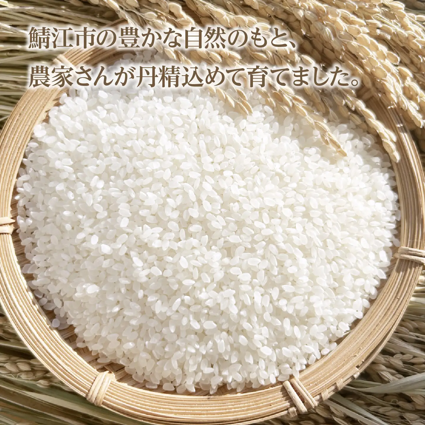 令和7年産 あきさかり 5kg　お米　精米　