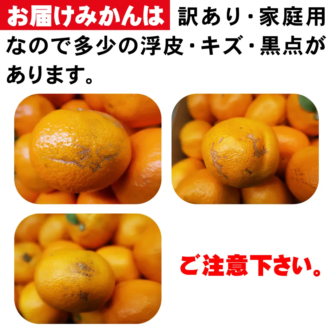 【先行受付】【訳あり君】みさき果樹園のえひめ西宇和のみかん5kg【21-65】YWTBC046