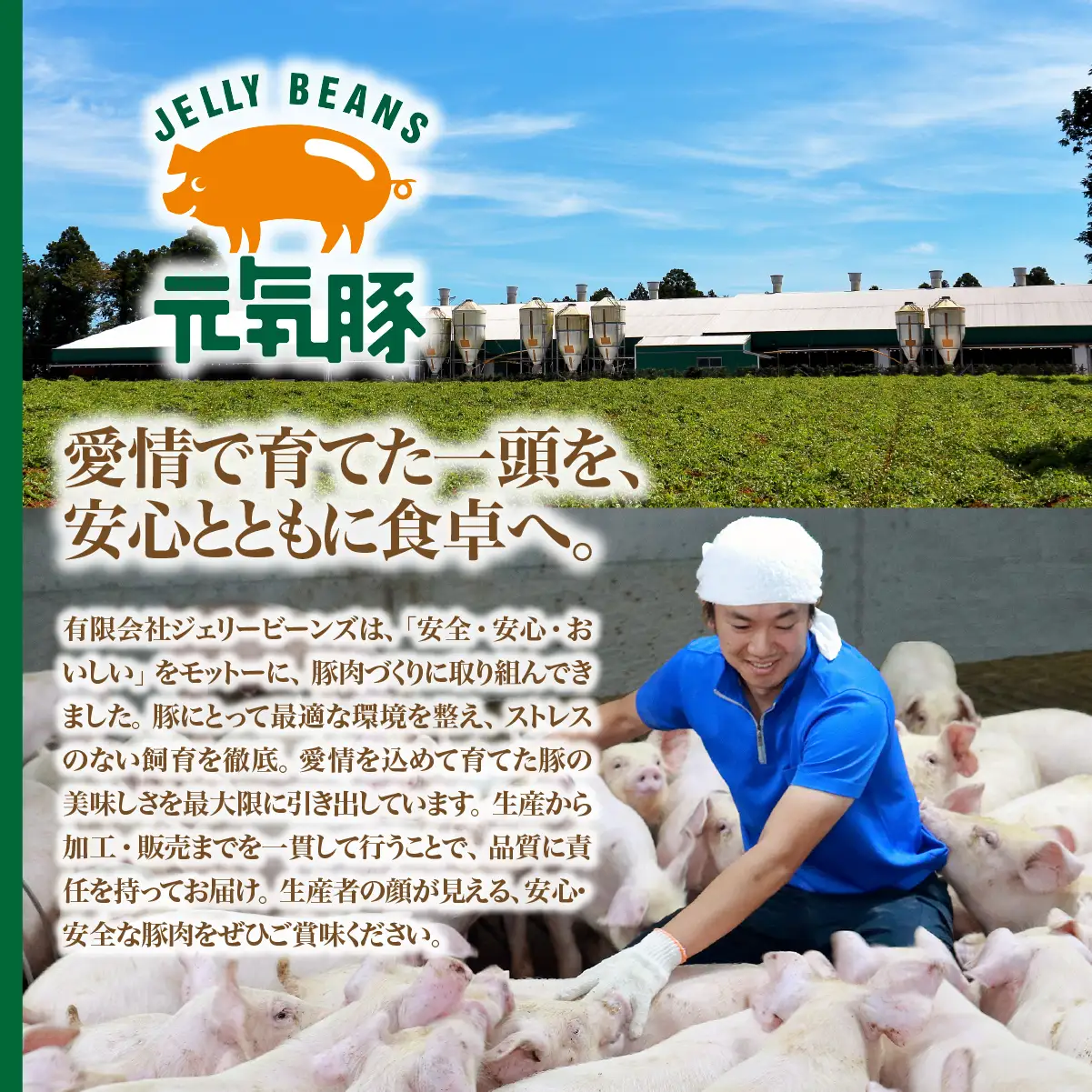 元気豚　パテ・ド・カンパーニュ TAKB046