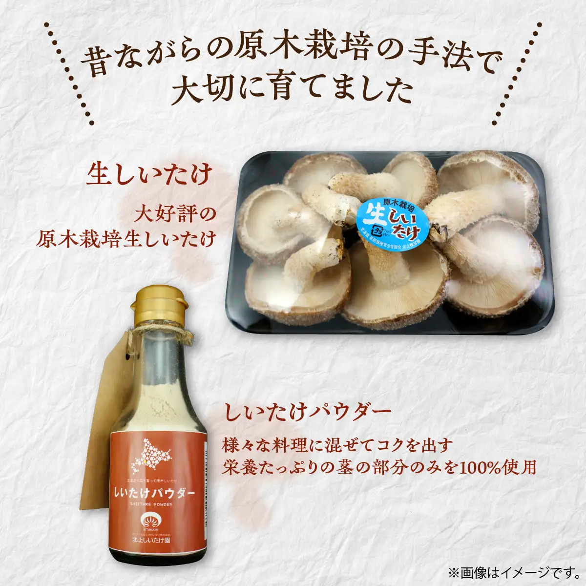 美味しさ詰まった貴重な原木しいたけ詰め合わせ　Aセット MKWN001