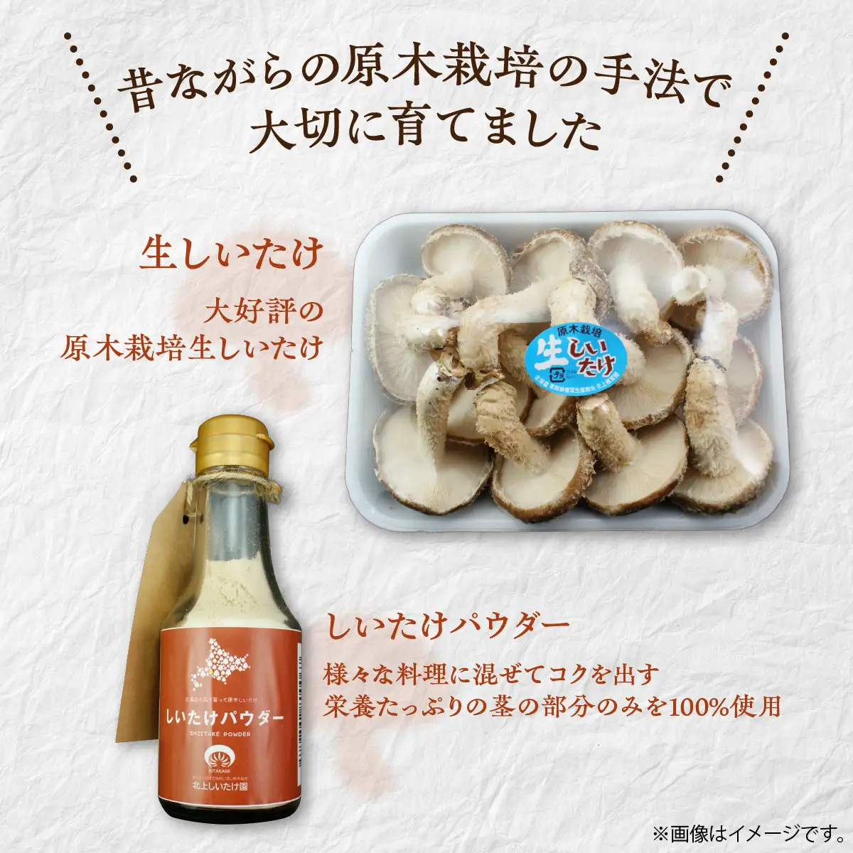 美味しさ詰まった貴重な原木しいたけ詰め合わせ　Bセット MKWN002
