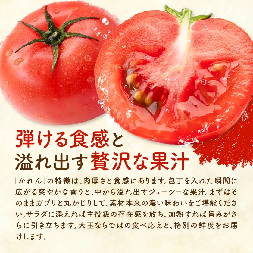 【大津アグリラボ】大玉トマト かれん 約2kg 株式会社中九州クボタ《10月上旬-6月下旬頃出荷》熊本県 大津町 トマト 大玉 野菜
