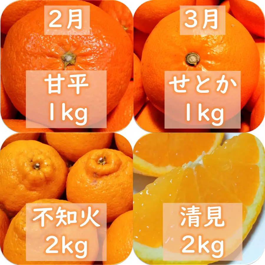 【発送月固定定期便】愛咲果樹園「9種の柑橘定期便」(1月～5月)全5回【71-77】YWTS070