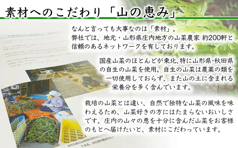 筍水煮 鶴岡産孟宗 200g×4　K-830 やまぜん食品 | 竹の子 たけのこ 山菜 料理