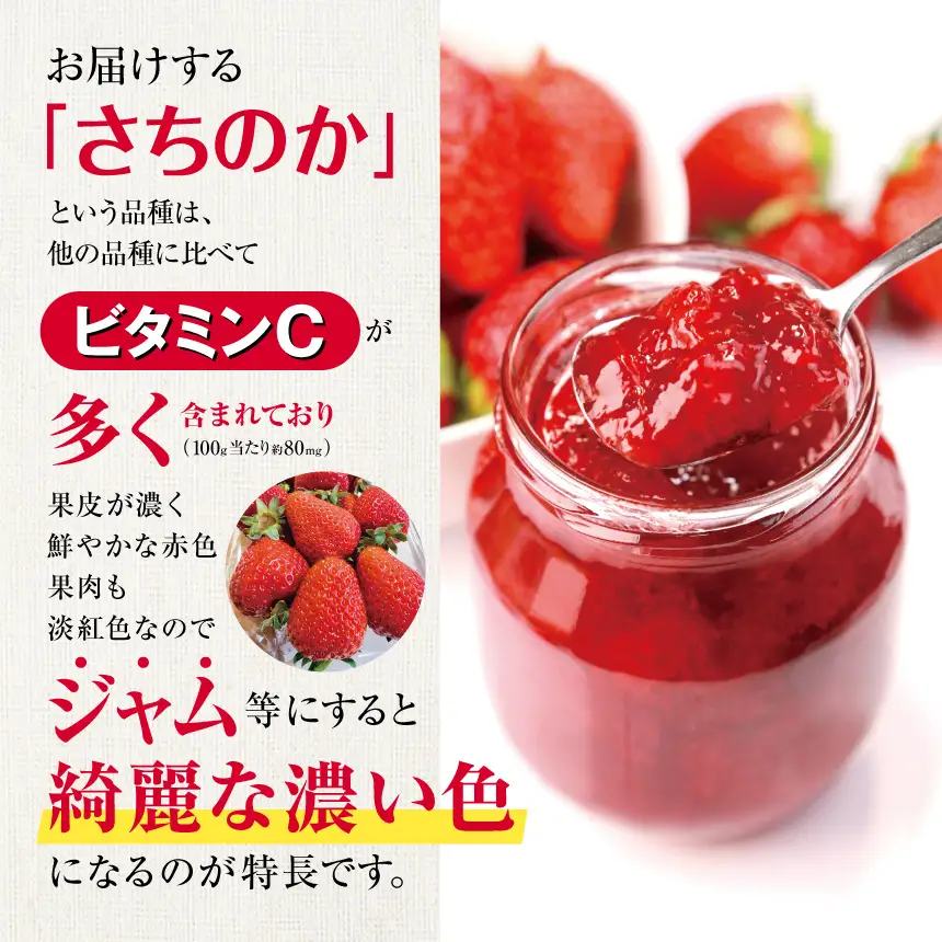 【先行予約】弘津さんちの朝採りイチゴ さちのか約500g ※令和9年1月中旬～3月発送
