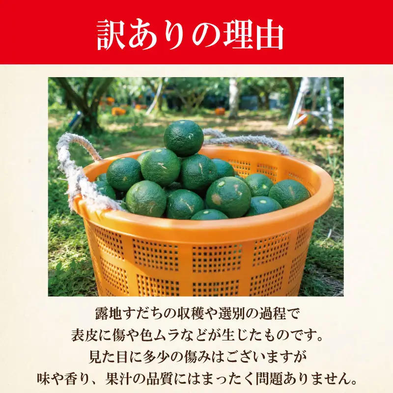 訳あり すだち 1kg すだち 【9月のみ発送】 徳島県産