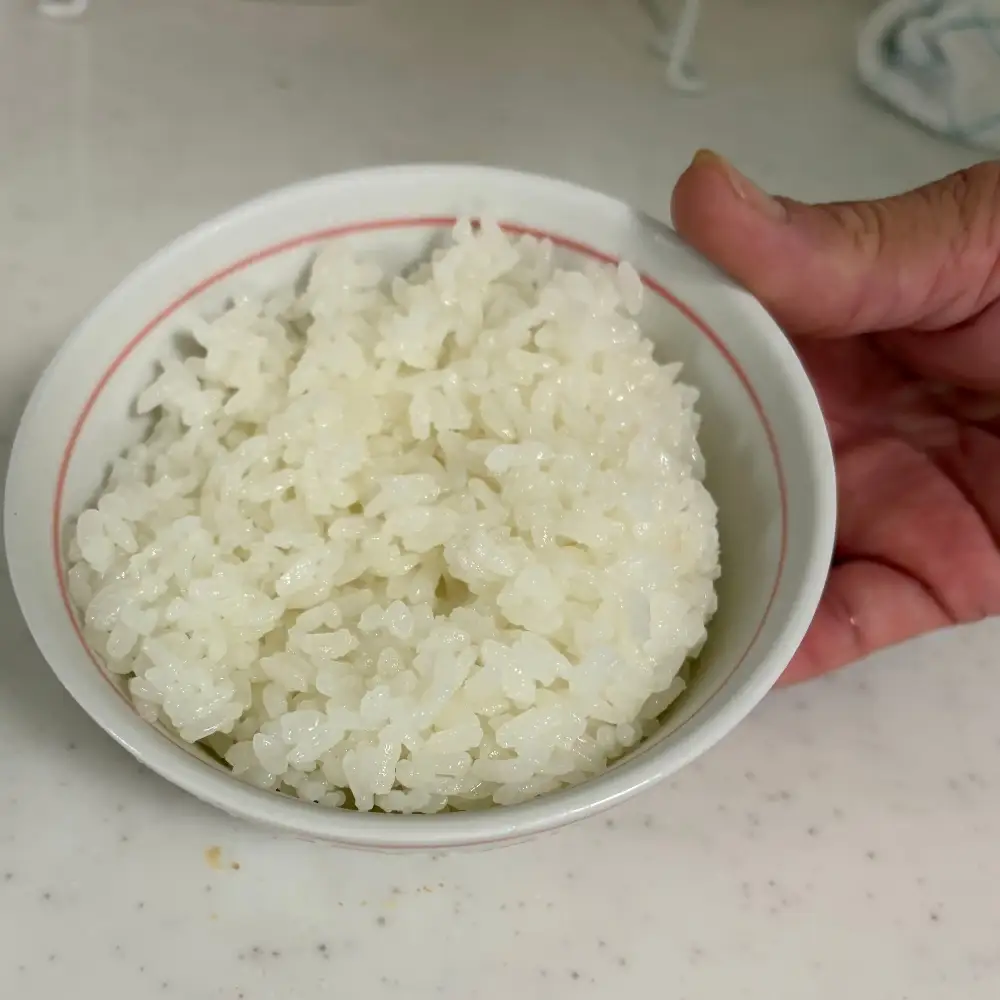 【先行予約】新米 令和8年産 あいちのかおり 10kg | 精米 白米