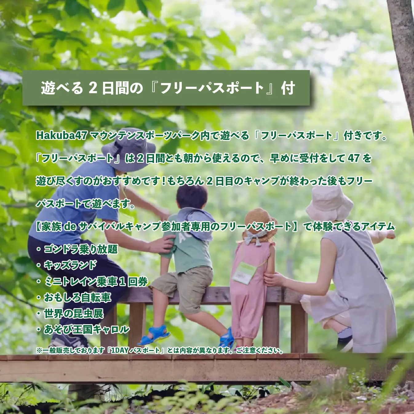 【体験チケット】Hakuba47 家族deサバイバルキャンプ 小人1名様 / 長野県白馬村