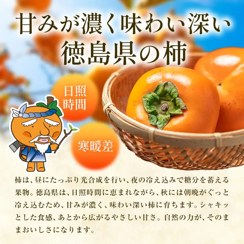 柿4kg 訳あり たねなし