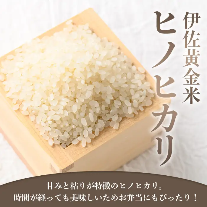 isa954 《数量限定》令和7年産 小北農場のお米 伊佐黄金米〈ヒノヒカリ〉(3kg) 鹿児島 伊佐 お米 特別栽培米 伊佐米 白米 ヒノヒカリ ひのひかり おにぎり ごはん 【小北農場】