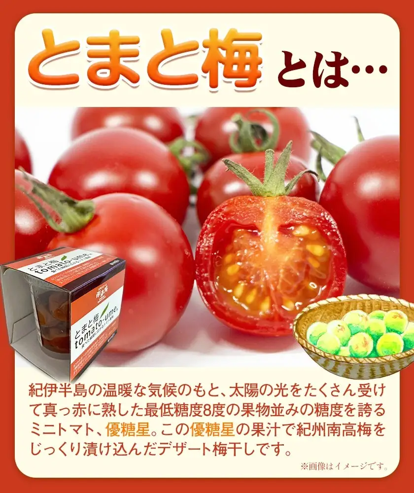 南高梅 tomato-ume とまと 梅 100g×4 有限会社プラム