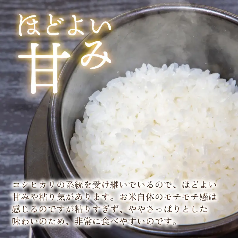 【令和8年産 新米】越前大野産 一等米 帰山農園の「てんたかく」5kg 白米