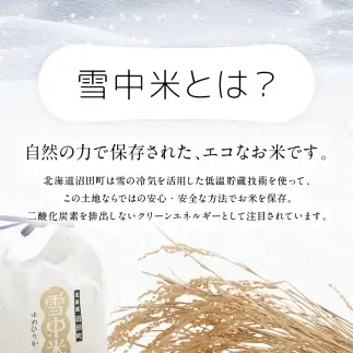 令和8年産 特Aランク米 食べ比べセット 玄米 計10kg （ゆめぴりか・な