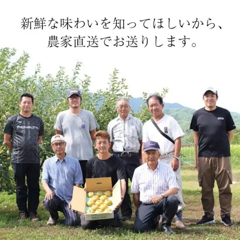梨 幸水 約5kg（9～14玉） 松川町産 贈答／2026年8月中旬～配送 [KW08]//長野県 南信州 松川町 和梨 梨 なし ナシ 産地直送 農家直送 農家支援 贈答 幸水 果物 フルーツ