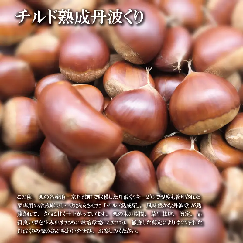 チルド熟成 丹波くり 4L 500g / 栗