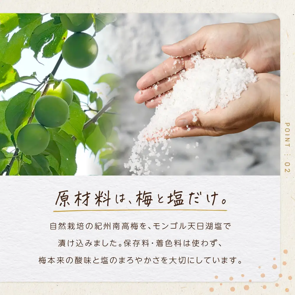 ひとみずの梅干し 500g 自然栽培で育てた紀州南高梅使用 ※栽培期間中、農薬・肥料・堆肥不使用
