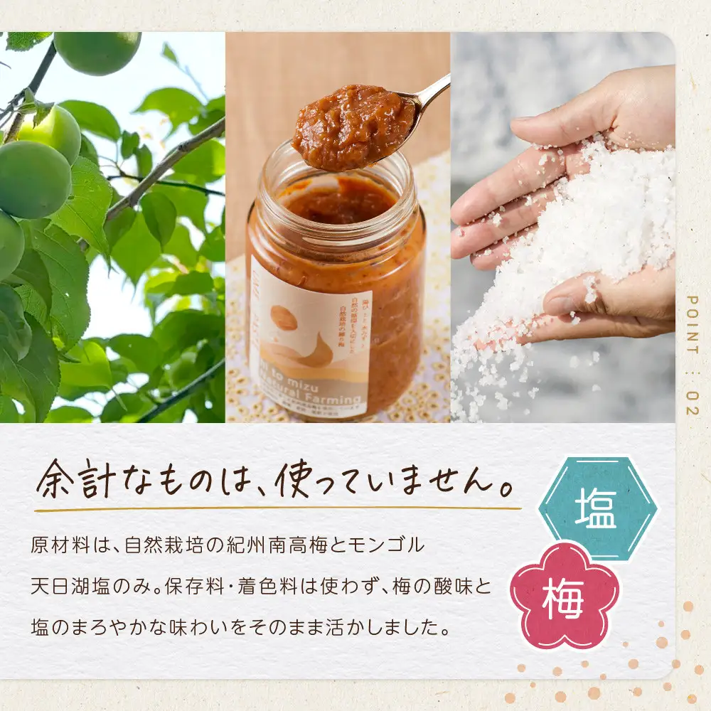 ひとみずの練り梅 200g 自然栽培で育てた紀州南高梅使用 ※栽培期間中、農薬・肥料・堆肥不使用
