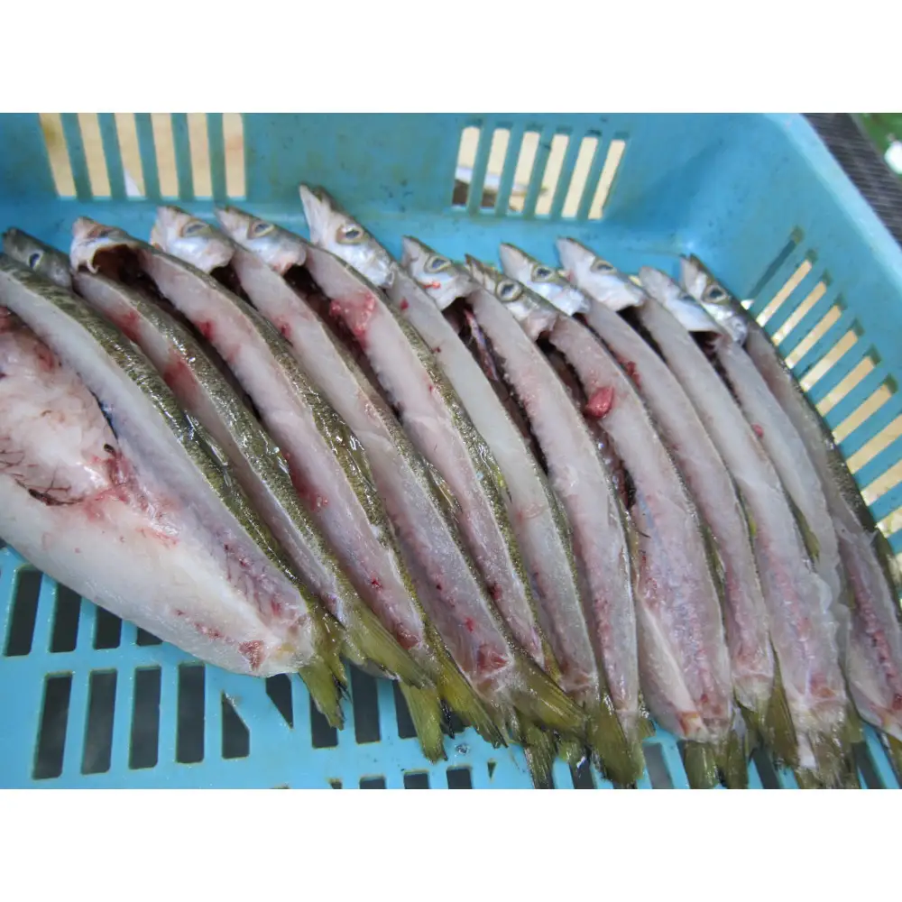 小田原かますのひもの詰合せ600g　SK-10