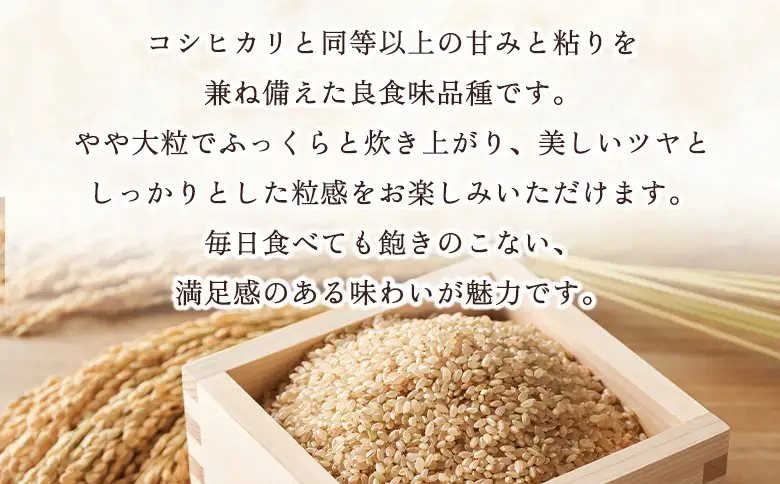 ＜にじのきらめき 玄米 約10kg 西予市宇和町産＞ 『毎月15日までのご入金確認ができた場合、当月下旬頃に発送予定』キロ 冷めてもおいしい げんまい お米 ライス コメ こめ 宇和米 うわまい ご飯 ごはん 送料無料 産地直送 加茂ファーム 愛媛県 西予市【常温】 UNK0004