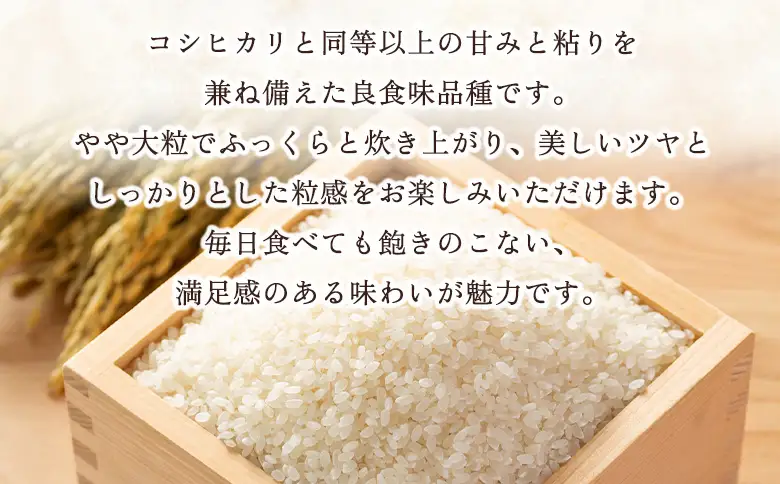 ＜にじのきらめき 約5kg 西予市宇和町産＞ 『毎月15日までのご入金確認ができた場合、当月下旬頃に発送予定』キロ 冷めてもおいしい 白米 精米 お米 ライス コメ こめ 宇和米 うわまい ご飯 ごはん 送料無料 産地直送 加茂ファーム 愛媛県 西予市【常温】UNK0005