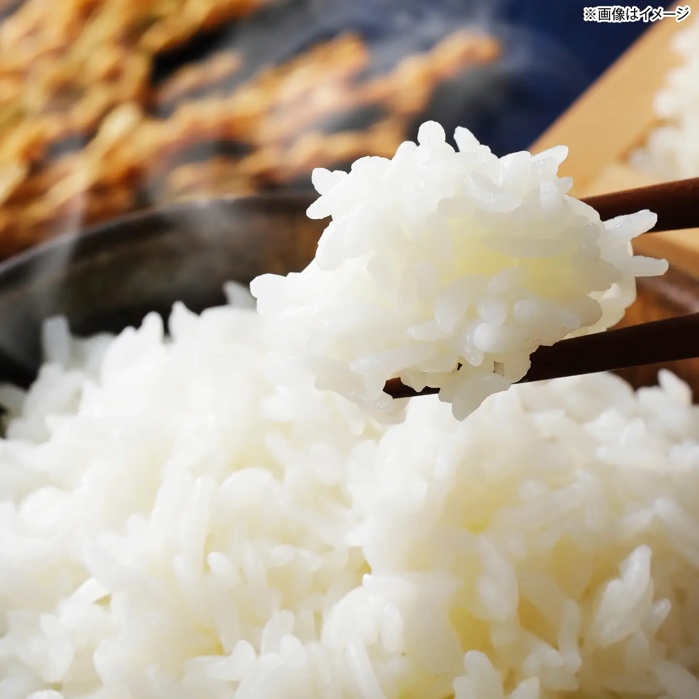 【先行予約/10月以降配送】【令和8年産】福井県 小浜産 にじのきらめき 米 10kg [BFDI004]
