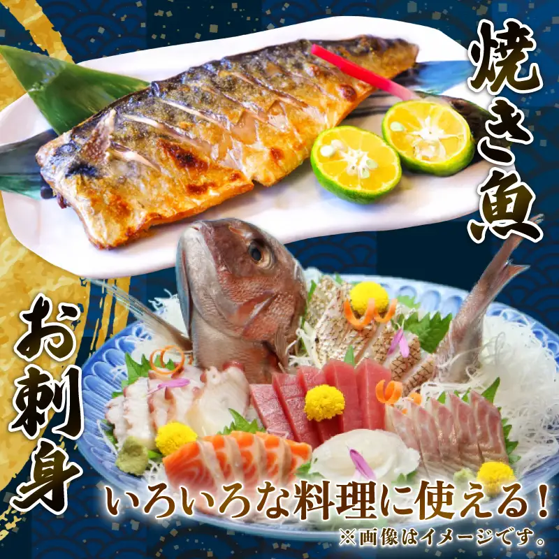 (冷蔵) おまかせ 鮮魚セット 2～3人前 鮮魚 海鮮 セット 海の幸 魚介 詰め合わせ 食べ比べ グルメ 魚 伊勢志摩 三重県 南伊勢町 丸池 18000円 20000円以下 2万円以下 二万円以下