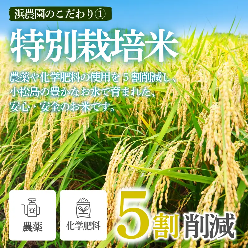 【2026年9月順次発送】新米 特別栽培米 にじのきらめき 白米1.5kg 小松島市 お米 こめ kome 精米 ご飯 ごはん 減農薬 米 1.5kg 小分け