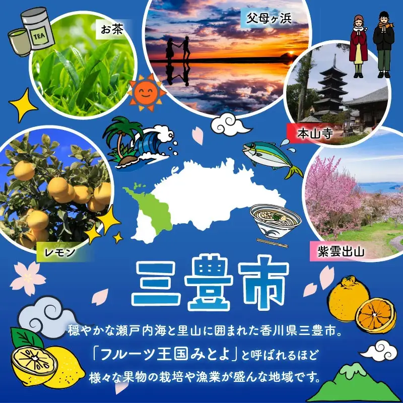 訳あり 冷凍 大粒ブルーベリー 1kg
