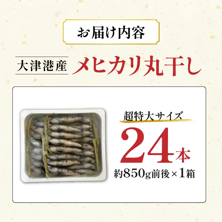 丸干し超特大めひかり 24本（約850ｇ前後 ）【めひかり メヒカリ 特大サイズ 魚 海産物 茨城県 北茨城市 冷凍】（DM001）