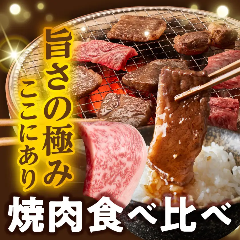 宮崎牛ローススライス&バラエティ焼肉1kgセット〔AE-89-010〕_(都城市)