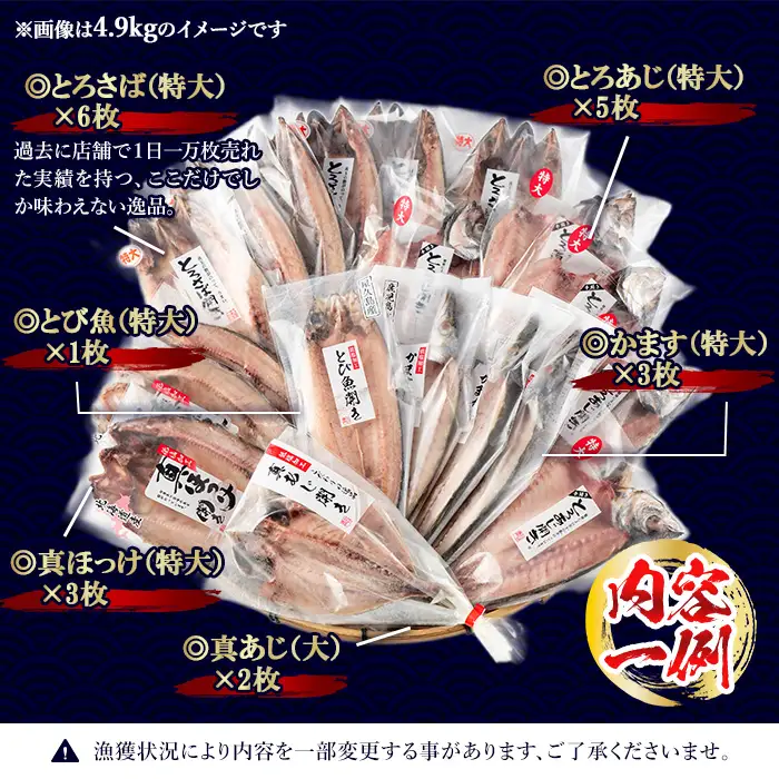 干物 あじ さば 詰め合わせ 約4.9kg 大きめ 干物 セット【みのだ食品】 No.406-C