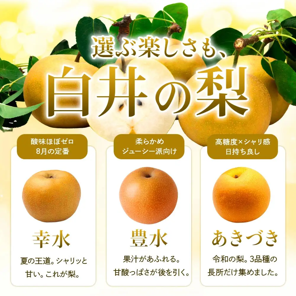 先行予約豊水3kg 贈答用