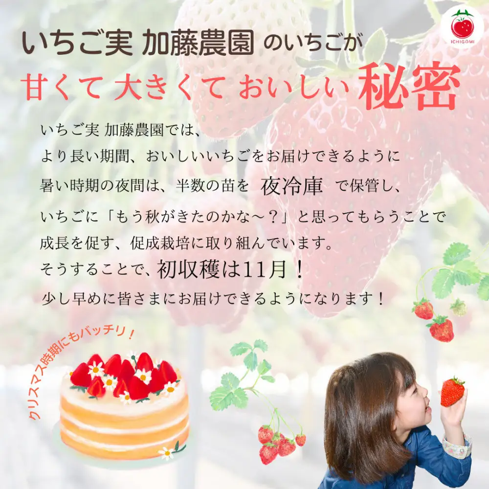 紅ほっぺソルベ 紅ほっぺみるくセット（各3個入）【配送不可：離島】