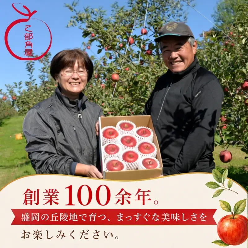 【先行予約】 訳あり 盛岡りんご 品種おまかせ 3kg 乙部角屋 りんご otobe005