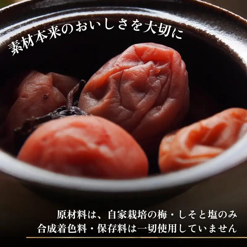 なつかしの味 梅干し（小梅）140g×6パック
