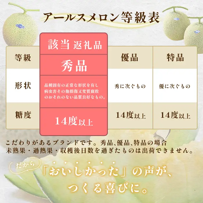 768 アールスメロン 秀品1玉（4L～5L）茨城県 JA水戸 フルーツ 果物